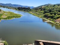 La construcción del proyecto de riego se planea para el segundo semestre de 2027, lo que genera escepticismo en la Comisión de Agricultura del Consejo Regional de O’Higgins.

 