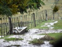 Fenómeno se presentaría desde la tarde-noche de este jueves.