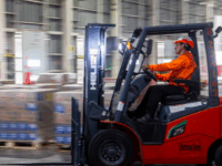 Oficina laboral municipal dispone de variados cargos en sector agroindustrial.