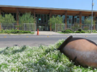 Instancia busca fortalecer el comercio y emprendimientos locales.