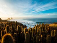 La convocatoria pone el foco en el cuidado ambiental y planificación territorial.