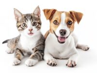 Este lunes y martes.