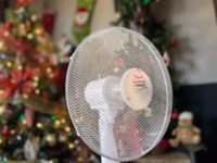 Dirección Meteorológica emitió aviso con máximas entre 30 y 33 grados en la región.