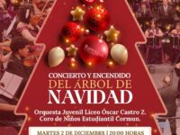 El encendido oficial del árbol está programado para el próximo martes 2 de diciembre.