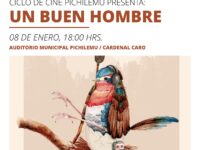 Exhibiciones gratuitas. 