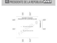 Esta elección es de carácter obligatorio dentro del territorio nacional y voluntario para quienes voten en el extranjero.