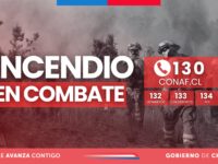 Según el reporte difundido por Conaf a través de sus canales oficiales, en el lugar trabajan ocho brigadas forestales, junto a un técnico de la institución. 