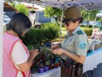 El trabajo en terreno consideró recorridos a pie por estas ferias, con el objetivo de disuadir delitos y mantener contacto directo con feriantes y vecinos del sector.