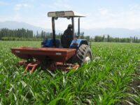 Informalidad laboral y desempleo femenino tensionan el bienestar social en la región.