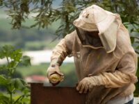 La obtención del sello RRA abre nuevas oportunidades comerciales y proyecta a los productores locales hacia una eventual exportación de miel.