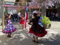 Las clases se realizan todos los miércoles de 15:00 a 17:00 horas, entre marzo y diciembre, en la Sala Samuel Román de la Casa de la Cultura.