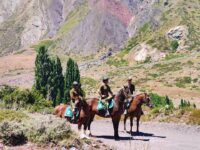 La Prefectura Colchagua N°12 intensifica su presencia en la alta montaña con una estrategia que combina vehículos 4x4 y equinos, buscando mayor versatilidad en el terreno fronterizo y cercanía con la comunidad.