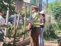 La actividad se desarrolló en coordinación con equipos de Conaf y Seguridad Pública, como parte de un trabajo conjunto enfocado en reducir el riesgo de incendios forestales durante la temporada estival.