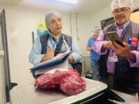 En el marco de la campaña de fin de año y verano 2025-2026.