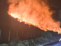 Noticia en desarrollo.