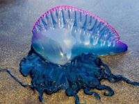 El pasado viernes 12 de diciembre.