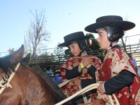 Siete colleras de la Región de O'Higgins dicen presente en esta competencia que se desarrolla este fin de semana en Pirque.
