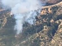 Habría consumido más de cuatro hectáreas. 
