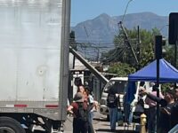 Camión frigorífico impactó postes y derribó semáforos, generando una fuerte interrupción del tránsito en Alameda con Nueva Einstein.