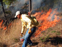 Actividad persigue entregar herramientas legales y prácticas para enfrentar emergencias y denunciar oportunamente.