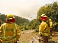 Central Rapel continúa bajo Alerta Amarilla; El Peral ya fue oficialmente controlado.