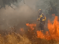 Según información preliminar, el siniestro estaría contenido y en proceso de remojo de puntos calientes.