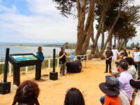 Iniciativa ambiental busca resaltar la protección del ecosistema local.