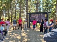 Programa Más Adultos Mayores Autovalentes refuerza el envejecimiento activo mediante acciones preventivas y acompañamiento profesional.