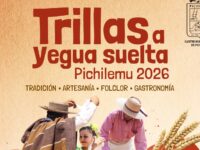 Las actividades se desarrollarán en cinco sectores rurales de la comuna y serán organizadas por clubes deportivos locales con apoyo del municipio.
