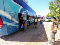 Operativo se enfocó en vehículos particulares y transporte interurbano de pasajeros. 