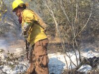 Dos brigadas y un camión aljibe trabajan en asegurar el perímetro y evitar reactivaciones en la zona.
