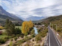 Para evitar nuevos focos de incendios forestales.
