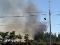 Según informó la DPR O'Higgins.