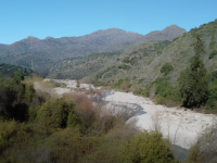 Municipio advierte endurecimiento de medidas si persisten malas conductas de algunos visitantes.