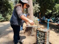 No se descarta que el origen de los síntomas sea viral y no esté relacionado con el consumo de alimentos.