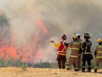 Ha consumido de manera preliminar 10 hectáreas.

