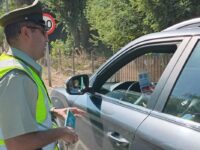 El trabajo en terreno consideró diálogo directo con conductores y residentes del sector, poniendo énfasis en conductas de riesgo habituales durante episodios de altas temperaturas.
