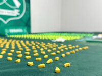 Vehículo fue marcado por el can Kelsy de Carabineros en el sector de Angostura.