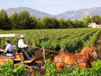 Comparte listado junto a lugares de Latinoamérica, Europa, Asia oriental y más.