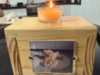 Mascota fue atacada por perros de un vecino y luego abandonada dentro de una bolsa con desechos, muriendo en una clínica veterinaria.