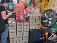 Fueron encontrados en una vivienda particular en cuyo patio eran almacenados. 