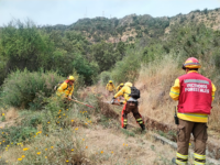 Director regional destacó el trabajo conjunto con Bomberos y municipios de las comunas afectadas.
