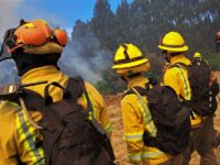 El fuego ha afectado tres hectáreas y amenaza infraestructura crítica en Litueche.