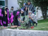 Fue orientada a entregar contención a dos personas que se encontraban hospitalizadas, así como también a un bebé próximo a nacer.