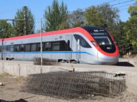 El tránsito ferroviario quedó suspendido mientras se realizan peritajes y se trasborda a los pasajeros.