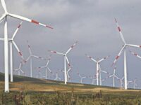 Los parques Cardonal, Manantiales y Los Cerrillos, desarrollados por la empresa Statkraft, comenzaron su operación hacia fines de 2024 tras una inversión cercana a los US$148 millones. El complejo cuenta con aprobaciones ambientales y sistemas de monitoreo que regulan su funcionamiento.