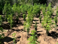 Hallazgo en una zona de difícil acceso abrió nuevas líneas investigativas para identificar a los responsables.