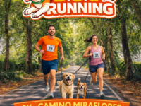 La Municipalidad de Codegua invita a la comunidad a participar en una jornada deportiva junto a sus mascotas. El evento contempla un recorrido de 3K y busca fomentar la vida saludable y la tenencia responsable.