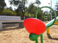 El proyecto fue financiado a través del FNDR 8% Comunitario del Gobierno Regional de O’Higgins.