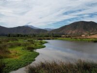 Actualmente se realiza un proyecto diagnóstico para la gestión y conservación.
